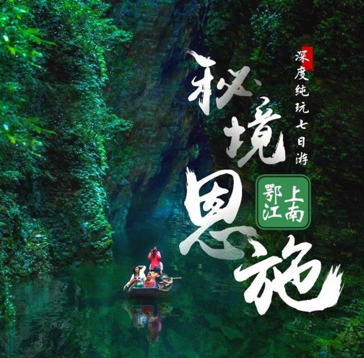 创作猫