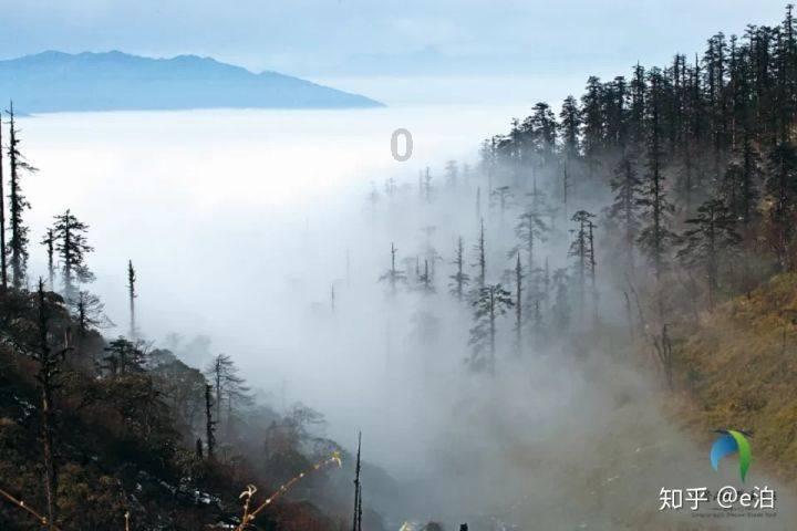 中国单机市场缺的是好的游戏，还是好的玩家？