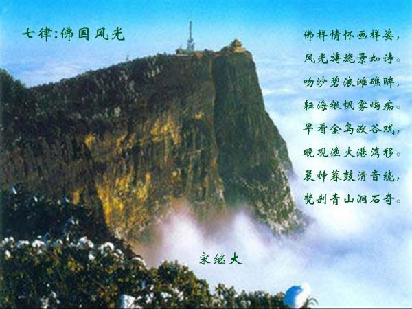 燃烧吧大脑装瓶子游戏